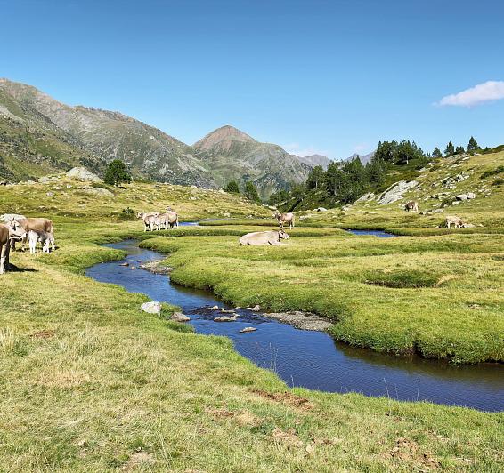 Què fer a Andorra