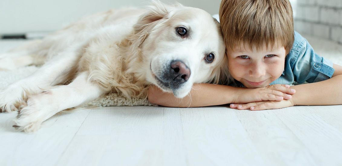 Animaux acceptés